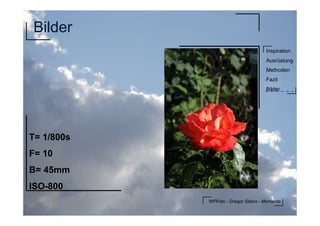 WPFoto - Gregor Sklorz - Momente
Inspiration
Ausrüstung
Methoden
Fazit
Bilder
Bilder
T= 1/800s
F= 10
B= 45mm
ISO-800
 