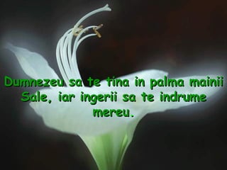 Dumnezeu sa te tina in palma mainii Sale, iar ingerii sa te indrume mereu . 