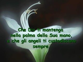 Che Dio ti mantenga
nella palma della Sua mano,
e che gli angeli ti custodiscano
sempre.

 