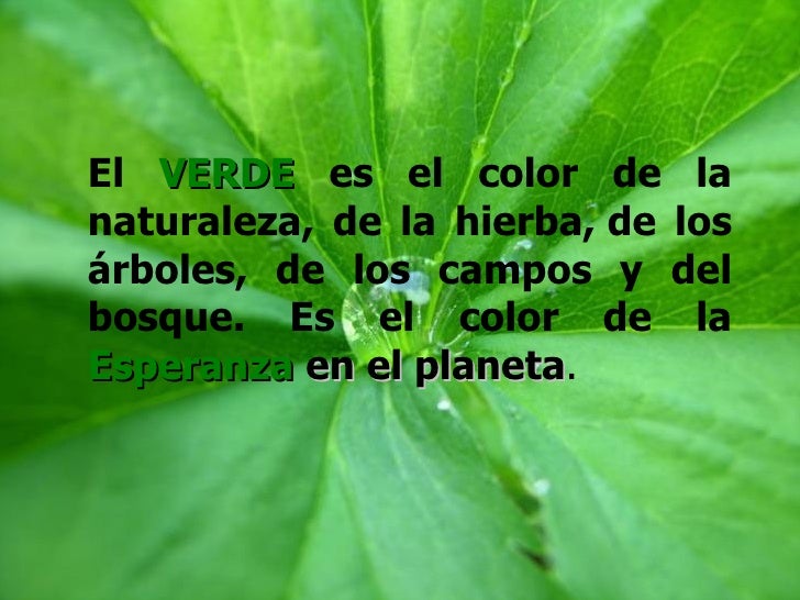 Momento de Reflexión (Los Colores de la Naturaleza)