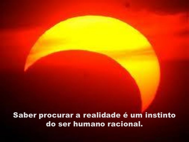 Imagem relacionada