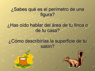 ¿Sabes qué es el perímetro de una figura? ¿Has oído hablar del área de tu finca o de tu casa? ¿Cómo describirías la superficie de tu salón? 