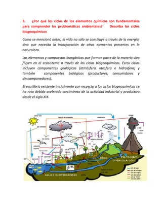 3. ¿Por qué los ciclos de los elementos químicos son fundamentales 
para comprender las problemáticas ambientales? Describa los ciclos 
biogeoquímicos 
Como se mencionó antes, la vida no sólo se construye a través de la energía, 
sino que necesita la incorporación de otros elementos presentes en la 
naturaleza. 
Los elementos y compuestos inorgánicos que forman parte de la materia viva 
fluyen en el ecosistema a través de los ciclos biogeoquímicos. Estos ciclos 
incluyen componentes geológicos (atmósfera, litosfera e hidrosfera) y 
también componentes biológicos (productores, consumidores y 
descomponedores). 
El equilibrio existente inicialmente con respecto a los ciclos biogeoquímicos se 
ha roto debido acelerado crecimiento de la actividad industrial y productiva 
desde el siglo XIX. 
 