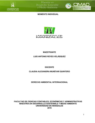 1
MOMENTO INDIVIDUAL
MAESTRANTE
LUIS ANTONIO REYES VELÁSQUEZ
DOCENTE
CLAUDIA ALEXANDRA MUNÉVAR QUINTERO
DERECHO AMBIENTAL INTERNACIONAL
FACULTAD DE CIENCIAS CONTABLES, ECONÓMICAS Y ADMINISTRATIVAS
MAESTRÍA EN DESARROLLO SOSTENIBLE Y MEDIO AMBIENTE
UNIVERSIDAD DE MANIZALES
2016
 