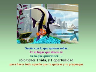  Sueña con lo que quieras soñar.Ve al lugar que desees ir.Sé lo que quieras ser….sólo tienes 1 vida, y 1 oportunidad para hacer todo aquello que tu quieras y te propongas