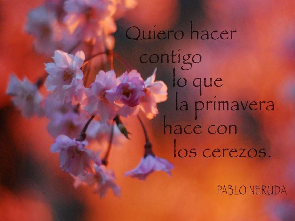 Momentos