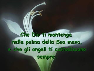 Che Dio ti mantenga  nella palma della Sua mano, e che gli angeli ti custodiscano sempre. 