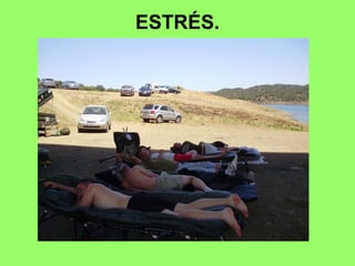 ESTRÉS.
 