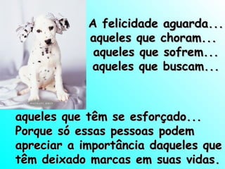 A felicidade aguarda...
aqueles que choram...
aqueles que sofrem...
aqueles que buscam...

aqueles que têm se esforçado...
Porque só essas pessoas podem
apreciar a importância daqueles que
têm deixado marcas em suas vidas.

 