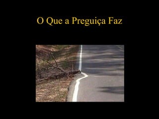 O Que a Preguiça Faz 