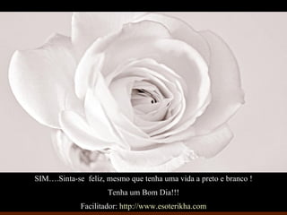 SIM….Sinta-se  feliz, mesmo que tenha uma vida a preto e branco ! Tenha um Bom Dia!!! Facilitador:  http://www.esoterikha.com 