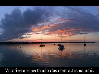 Valorize o espectáculo dos contrastes naturais 