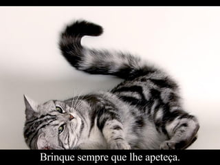 Brinque sempre que lhe apeteça. 