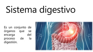 Sistema digestivo
Es un conjunto de
órganos que se
encarga del
proceso de la
digestión.
 