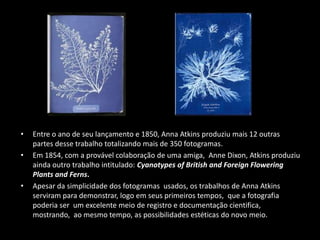 •
•

•

Entre o ano de seu lançamento e 1850, Anna Atkins produziu mais 12 outras
partes desse trabalho totalizando mais de 350 fotogramas.
Em 1854, com a provável colaboração de uma amiga, Anne Dixon, Atkins produziu
ainda outro trabalho intitulado: Cyanotypes of British and Foreign Flowering
Plants and Ferns.
Apesar da simplicidade dos fotogramas usados, os trabalhos de Anna Atkins
serviram para demonstrar, logo em seus primeiros tempos, que a fotografia
poderia ser um excelente meio de registro e documentação cientifica,
mostrando, ao mesmo tempo, as possibilidades estéticas do novo meio.

 