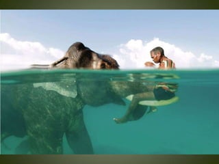 Momentos unicos kodak