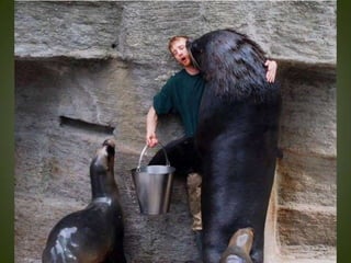 Momentos unicos kodak