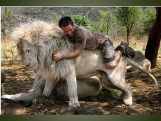 Momentos unicos kodak