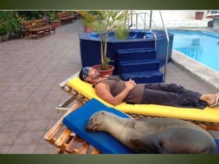 Momentos unicos kodak