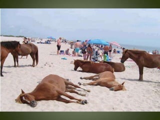 Momentos unicos kodak