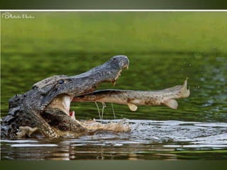 Momentos unicos kodak