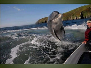 Momentos unicos kodak