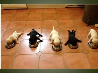 Momentos unicos kodak