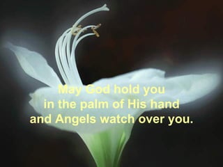 May God hold you in the palm of His hand and Angels watch over you. 
