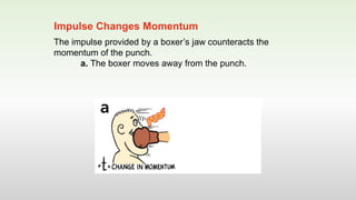The impulse provided by a boxer’s jaw counteracts the
momentum of the punch.
a. The boxer moves away from the punch.
Impulse Changes Momentum
 