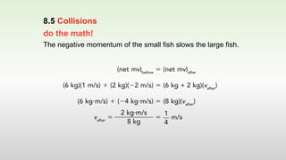 do the math!
The negative momentum of the small fish slows the large fish.
8.5 Collisions
 