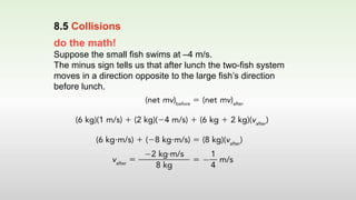 do the math!
Suppose the small fish swims at –4 m/s.
The minus sign tells us that after lunch the two-fish system
moves in a direction opposite to the large fish’s direction
before lunch.
8.5 Collisions
 