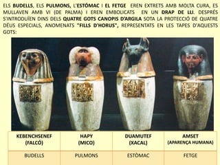 KEBENCHSENEF
(FALCÓ)
HAPY
(MICO)
DUAMUTEF
(XACAL)
AMSET
(APARENÇA HUMANA)
BUDELLS PULMONS ESTÒMAC FETGE
ELS BUDELLS, ELS PULMONS, L'ESTÓMAC I EL FETGE EREN EXTRETS AMB MOLTA CURA, ES
MULLAVEN AMB VI (DE PALMA) I EREN EMBOLICATS EN UN DRAP DE LLI. DESPRÉS
S'INTRODUÏEN DINS DELS QUATRE GOTS CANOPIS D’ARGILA SOTA LA PROTECCIÓ DE QUATRE
DÉUS ESPECIALS, ANOMENATS "FILLS D'HORUS", REPRESENTATS EN LES TAPES D'AQUESTS
GOTS:
 