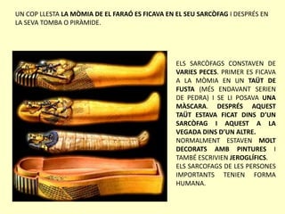 UN COP LLESTA LA MÒMIA DE EL FARAÓ ES FICAVA EN EL SEU SARCÒFAG I DESPRÉS EN
LA SEVA TOMBA O PIRÀMIDE.
ELS SARCÒFAGS CONSTAVEN DE
VARIES PECES. PRIMER ES FICAVA
A LA MÒMIA EN UN TAÜT DE
FUSTA (MÉS ENDAVANT SERIEN
DE PEDRA) I SE LI POSAVA UNA
MÀSCARA. DESPRÉS AQUEST
TAÜT ESTAVA FICAT DINS D’UN
SARCÒFAG I AQUEST A LA
VEGADA DINS D’UN ALTRE.
NORMALMENT ESTAVEN MOLT
DECORATS AMB PINTURES I
TAMBÉ ESCRIVIEN JEROGLÍFICS.
ELS SARCOFAGS DE LES PERSONES
IMPORTANTS TENIEN FORMA
HUMANA.
 