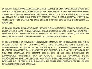 LA TOMBA KV62, SITUADA A LA VALL DELS REIS (EGIPTE), ÉS UNA TOMBA REAL EGÍPCIA QUE
CONTÉ A LA MÒMIA DE TUTANKAMON. VA SER DESCOBERTA EN 1922 PER HOWARD CARTER
SOTA LES RESTES DELS HABITATGES DELS TREBALLADORS DE L'ÈPOCA RAMÉSIDA, EL QUE LA
VA SALVAR DELS SAQUEJOS D'AQUEST PERÍODE. COM A DADA CURIOSA, CARTER VA
ACONSEGUIR FOTOGRAFIAR ALGUNES OFRENES FLORALS QUE ES VAN DESINTEGRAR AL
TOCAR-LES.
LA TOMBA CONSTA DE QUATRE SALES I ESTAVA PLENA D'OBJECTES, PERÒ EN DESORDRE. A
CAUSA DEL SEU ESTAT I A L'MÈTODE METICULÓS D'ESTUDI DE CARTER, ES VA TRIGAR VUIT
ANYS A BUIDAR I TRASLLADAR A EL MUSEU EGIPCI DEL CAIRE TOT EL TROBAT, MÉS DE 5.000
PECES, INCLOSA LA MÀSCARA FUNERÀRIA DE TUTANKAMON D'OR MASSÍS.
ES DIU SOVINT QUE LA TOMBA DE TUTANKAMON MAI VA SER PENETRADA PERÒ AIXÒ NO ÉS
EXACTE: DE FET HO VA SER COM A MÍNIM DUES VEGADES NO GAIRE DESPRÉS DE
L'ENTERRAMENT, JA QUE HI HA EVIDÈNCIES QUE A LES PORTES SEGELLADES ES VA
PRACTICAR UNA OBERTURA A LES CANTONADES SUPERIORS, QUE VA SER PRECINTADA DE
NOU MÉS ENDAVANT. S'HA ESTIMAT QUE EL 60% DE LES JOIES DIPOSITADES EN
L'ANOMENADA "TRESORERIA" VAN SER ROBADES, I QUE ELS FUNCIONARIS DE LA
NECRÒPOLIS VAN EMBALAR LES QUE ES VAN SALVAR DE MANERA PRECIPITADA. LES PORTES
EXTERIORS DE LES CAPELLES, QUE INCLOÏEN ELS TAÜTS JERARQUITZATS DEL REI, ES VAN
DEIXAR OBERTES I SENSE SEGELLAR.
 