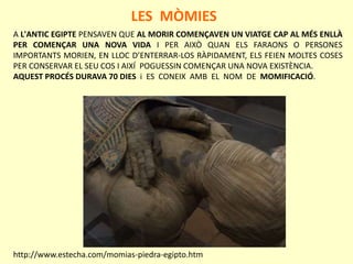 A L'ANTIC EGIPTE PENSAVEN QUE AL MORIR COMENÇAVEN UN VIATGE CAP AL MÉS ENLLÀ
PER COMENÇAR UNA NOVA VIDA I PER AIXÒ QUAN ELS FARAONS O PERSONES
IMPORTANTS MORIEN, EN LLOC D’ENTERRAR-LOS RÀPIDAMENT, ELS FEIEN MOLTES COSES
PER CONSERVAR EL SEU COS I AIXÍ POGUESSIN COMENÇAR UNA NOVA EXISTÈNCIA.
AQUEST PROCÉS DURAVA 70 DIES i ES CONEIX AMB EL NOM DE MOMIFICACIÓ.
LES MÒMIES
http://www.estecha.com/momias-piedra-egipto.htm
 