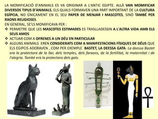LA MOMIFICACIÓ D'ANIMALS ES VA ORIGINAR A L'ANTIC EGIPTE. ALLÀ VAN MOMIFICAR
DIVERSOS TIPUS D'ANIMALS, ELS QUALS FORMAVEN UNA PART IMPORTANT DE LA CULTURA
EGÍPCIA, NO ÚNICAMENT EN EL SEU PAPER DE MENJAR I MASCOTES, SINÓ TAMBÉ PER
RAONS RELIGIOSES.
EN GENERAL, SE'LS MOMIFICAVA PER :
 PERMETRE QUE LES MASCOTES ESTIMADES ES TRASLLADESSIN A L'ALTRA VIDA AMB ELS
SEUS AMOS
 ACTUAR COM A OFRENES A UN DÉU EN PARTICULAR
 ALGUNS ANIMALS EREN CONSIDERATS COM A MANIFESTACIONS FÍSIQUES DE DÉUS QUE
ELS EGIPCIS ADORAVEN , COM PER EXEMPLE BASTET, LA DEESSA GATA. La deessa Bastet
era la protectora de la llar, dels temples, dels faraons, de la fertilitat, la maternitat i de
l'alegria. També era la protectora dels gats.
 