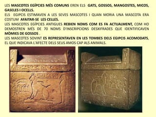 LES MASCOTES EGÍPCIES MÉS COMUNS EREN ELS GATS, GOSSOS, MANGOSTES, MICOS,
GASELES I OCELLS.
ELS EGIPCIS ESTIMAVEN A LES SEVES MASCOTES I QUAN MORIA UNA MASCOTA ERA
COSTUM AFAITAR-SE LES CELLES.
LES MASCOTES EGÍPCIES ANTIGUES REBIEN NOMS COM ES FA ACTUALMENT, COM HO
DEMOSTREN MÉS DE 70 NOMS D'INSCRIPCIONS DESXIFRADES QUE IDENTIFICAVEN
MÒMIES DE GOSSOS .
LES MASCOTES SOVINT ES REPRESENTAVEN EN LES TOMBES DELS EGIPCIS ACOMODATS,
EL QUE INDICAVA L'AFECTE DELS SEUS AMOS CAP ALS ANIMALS.
 