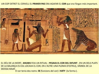 UN COP EXTRET EL CERVELL EL PRIMER PAS ERA AGAFAR EL COR que era l’òrgan més important.
El cor tenia dos noms: IB (funcions del cor) i HATY (la forma ).
EL DÉU DE LA MORT, ANUBIS FEIA UN RITUAL : PESAVA EL COR DEL DIFUNT . EN UN DELS PLATS
DE LA BALANÇA ES COL·LOCAVA EL COR, EN L'ALTRE UNA PLOMA D'ESTRUÇ, SÍMBOL DE LA
DEESSA MAAT.
 