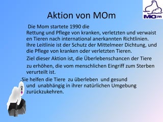 Aktion von MOm
Die Mom startete 1990 die
Rettung und Pflege von kranken, verletzten und verwaist
en Tieren nach international anerkannten Richtlinien.
Ihre Leitlinie ist der Schutz der Mittelmeer Dichtung, und
die Pflege von kranken oder verletzten Tieren.
Ziel dieser Aktion ist, die Überlebenschancen der Tiere
zu erhöhen, die vom menschlichen Eingriff zum Sterben
verurteilt ist.
.Sie helfen die Tiere zu überleben und gesund
und unabhängig in ihrer natürlichen Umgebung
zurückzukehren.
 