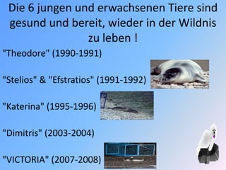 Die 6 jungen und erwachsenen Tiere sind
gesund und bereit, wieder in der Wildnis
zu leben !
"Theodore" (1990-1991)
"Stelios" & "Efstratios" (1991-1992)
"Katerina" (1995-1996)
"Dimitris" (2003-2004)
"VICTORIA" (2007-2008)
 