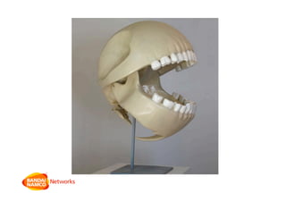 MoMo #9 - Barry O'Neill