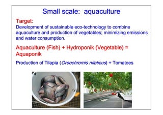 SmallSmallSmallSmall scalescalescalescale:::: aquacultureaquacultureaquacultureaquaculture
TargetTargetTargetTargetTargetTargetTargetTarget::::::::
DevelopmentDevelopmentDevelopmentDevelopment ofofofof sustainablesustainablesustainablesustainable ecoecoecoeco----technologytechnologytechnologytechnology totototo combinecombinecombinecombine
aquacultureaquacultureaquacultureaquaculture andandandand productionproductionproductionproduction ofofofof vegetablesvegetablesvegetablesvegetables;;;; minimizingminimizingminimizingminimizing emissionsemissionsemissionsemissions
andandandand waterwaterwaterwater consumptionconsumptionconsumptionconsumption....
AquacultureAquacultureAquacultureAquacultureAquacultureAquacultureAquacultureAquaculture ((((((((FishFishFishFishFishFishFishFish) +) +) +) +) +) +) +) + HydroponikHydroponikHydroponikHydroponikHydroponikHydroponikHydroponikHydroponik ((((((((VegetableVegetableVegetableVegetableVegetableVegetableVegetableVegetable) =) =) =) =) =) =) =) =
AquaponikAquaponikAquaponikAquaponikAquaponikAquaponikAquaponikAquaponik
ProductionProductionProductionProduction ofofofof TilapiaTilapiaTilapiaTilapia ((((OreochromisOreochromisOreochromisOreochromis niloticusniloticusniloticusniloticus) +) +) +) + TomatoesTomatoesTomatoesTomatoes
 
