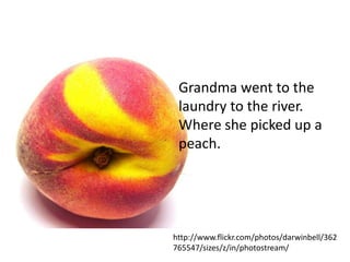Grandma went to the
 laundry to the river.
 Where she picked up a
 peach.




http://www.flickr.com/photos/darwinbell/362
765547/sizes/z/in/photostream/
 