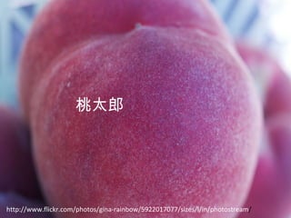 http://www.flickr.com/photos/autanex/ 　 395231942/sizes/l/in/photostream 桃太郎 http://www.flickr.com/photos/gina-rainbow/5922017077/sizes/l/in/photostream / 