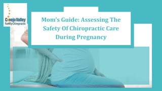 Mom’s Guide: Assessing The
Safety Of Chiropractic Care
During Pregnancy
 