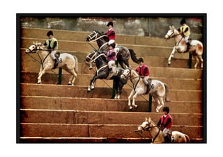 A STORY OF FAILURE - INSIGHTS FROM A START-UP & WHY THEY MATTER IN AN ENTERPRISE ENVIRONMENT (TINA DINGEL) - LKCE13