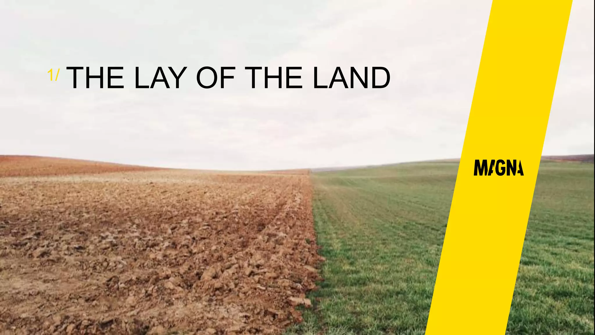 THE LAY OF THE LAND1/
 