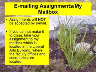E-mailing Assignments/My Mailbox Assignments will  NOT  be accepted by e-mail.  If you cannot make it to class, take your assignment to my mailbox which is located in the Liberal Arts Building, where the faculty offices and secretaries are located. 