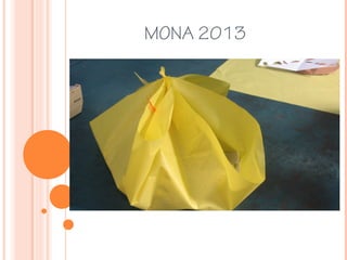 MONA 2013
 
