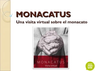 MONACATUS
Una visita virtual sobre el monacato
 